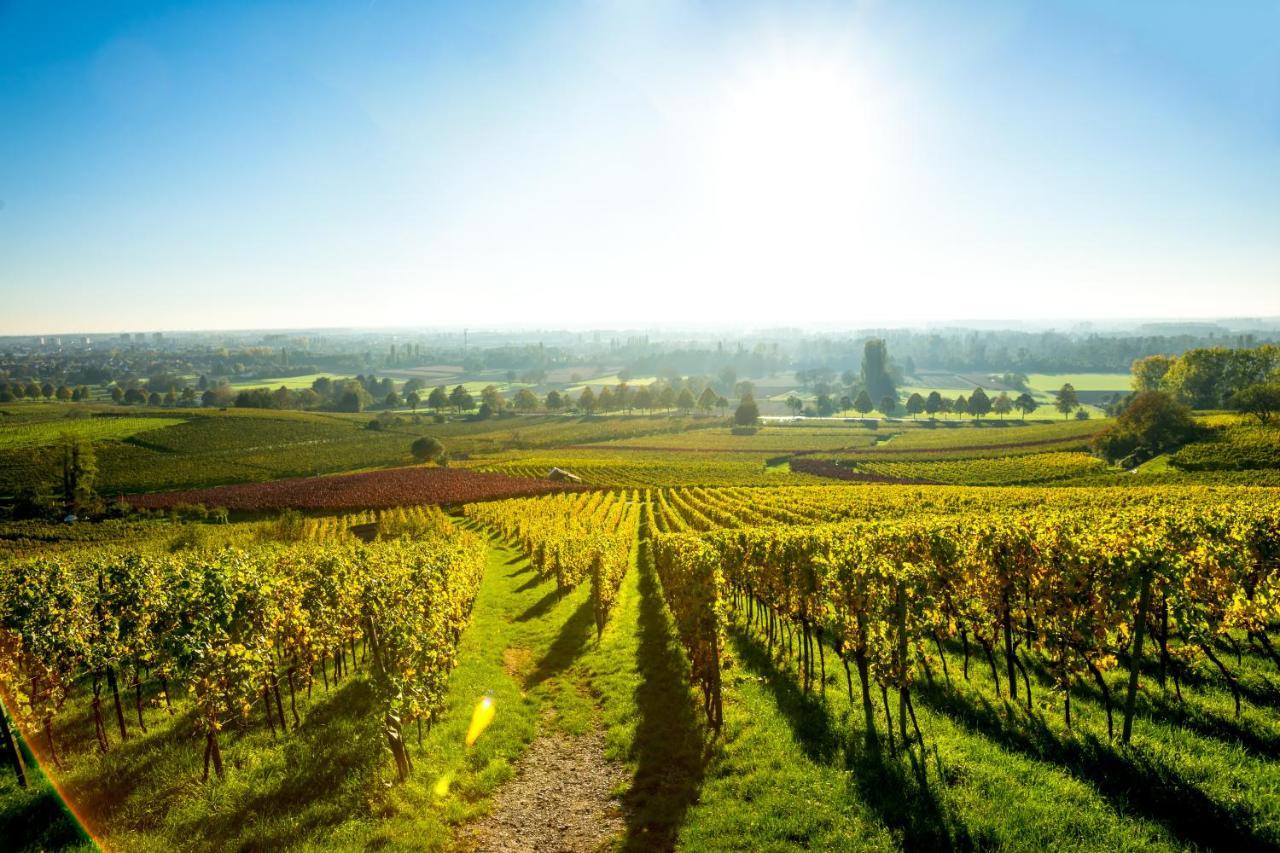 Clos Ceres Viré Buitenkant foto